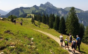 Christian Zwanziger mit KOlleg*innen bei der Tourismustour 2022 auf dem Weg zur Piesenhausener Hochalm